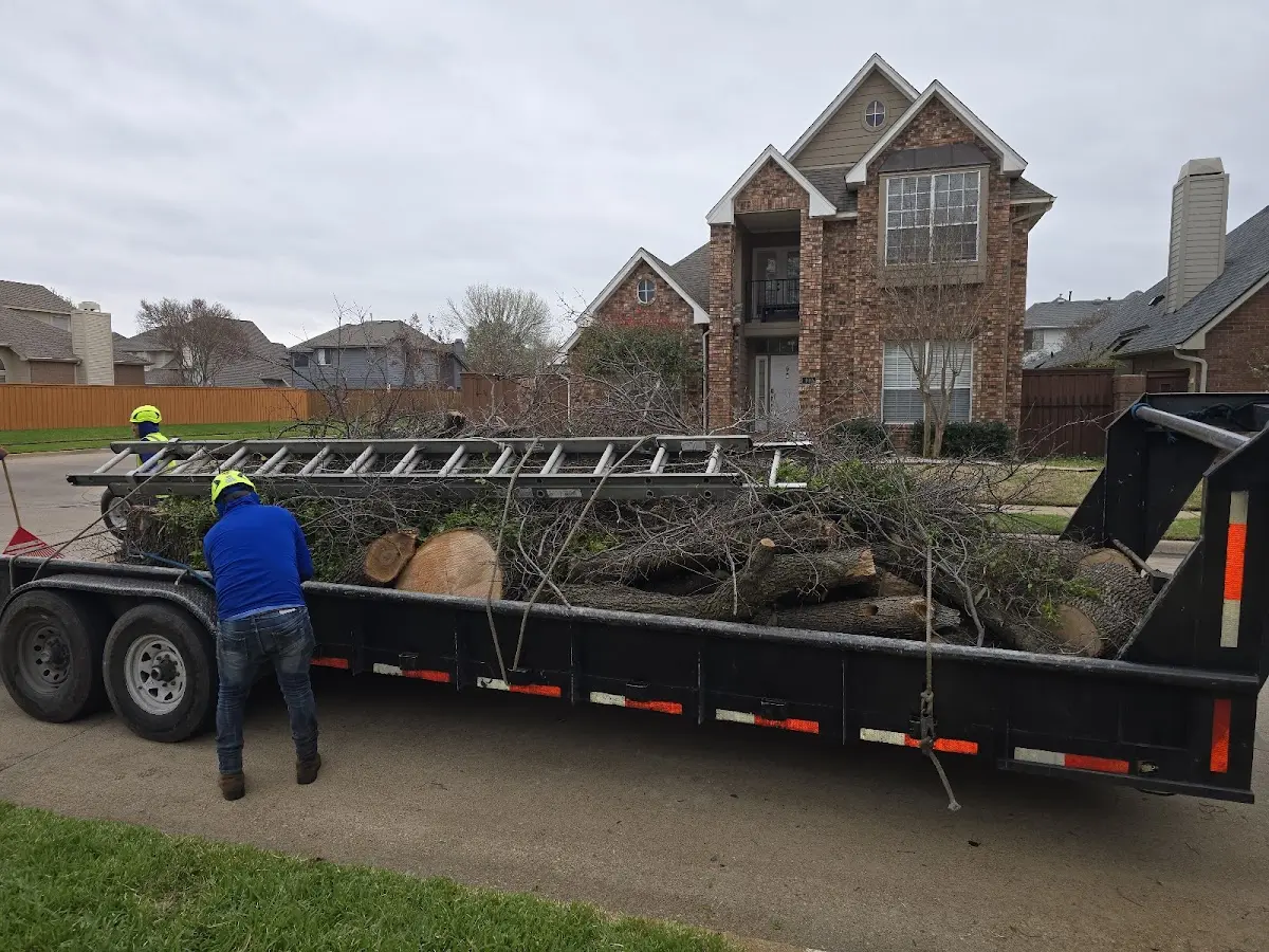 Expert Tree Fertilization with proper safety equipment in Surprise